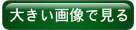 ポリ太郎クイズに答えてポイントゲット！！3