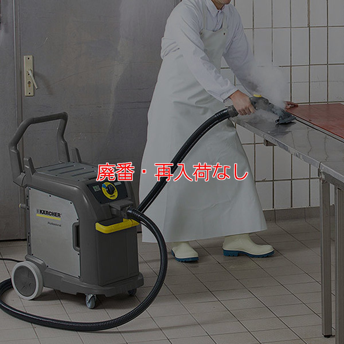 画像3: 【廃番・再入荷なし】【リース契約可能】ケルヒャー SGV 8/5 - 業務用スチームバキュームクリーナー【代引不可・個人宅配送不可】 (3)