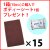 1箱(15枚入)+ボディーシート