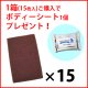 1箱(15枚入)+ボディーシート