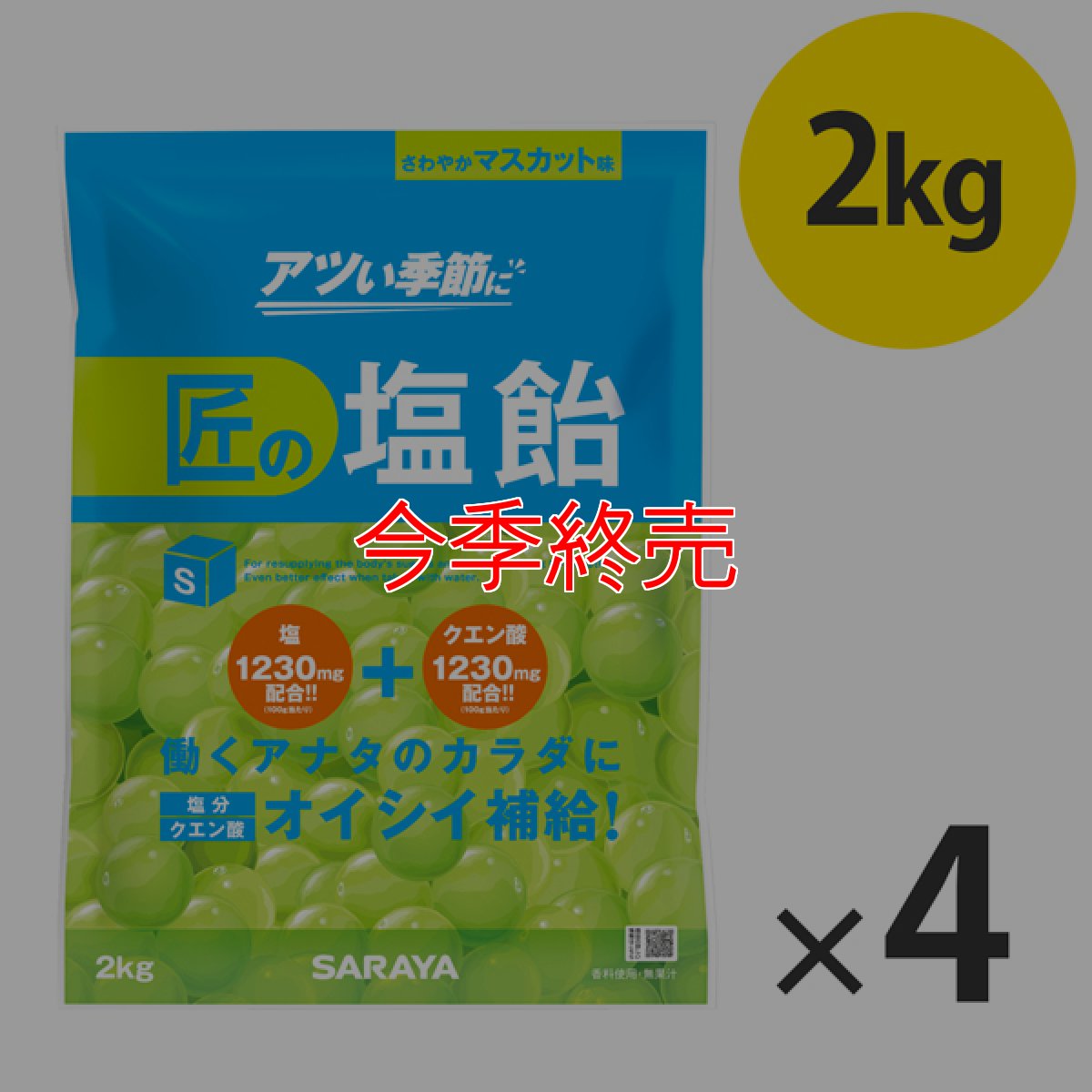 画像2: サラヤ 匠の塩飴 マスカット味 - 深みのある味わいの国産塩使用【代引不可・個人宅配送不可】 (2)