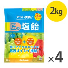 画像2: サラヤ 匠の塩飴 3種アソート - 深みのある味わいの国産塩使用【代引不可・個人宅配送不可】 (2)