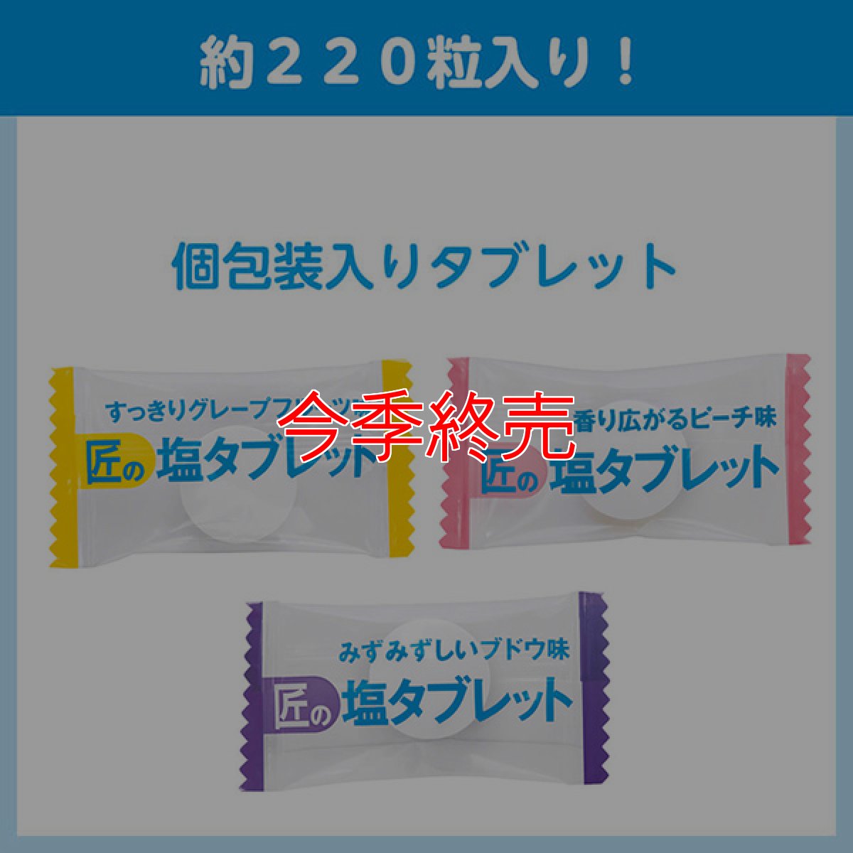 画像2: サラヤ 匠の塩タブレット 3種アソート [500g×10] - 人工甘味料不使用の塩タブレット【代引不可・個人宅配送不可】 (2)