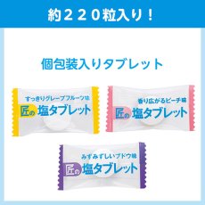 画像2: サラヤ 匠の塩タブレット 3種アソート [500g 3種アソート×10] - 人工甘味料不使用の塩タブレット【代引不可・個人宅配送不可】 (2)