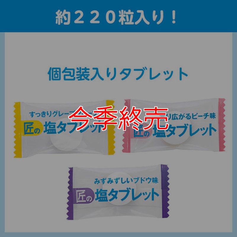 サラヤ 匠の塩タブレット 3種アソート [500g×10] - 人工甘味料不