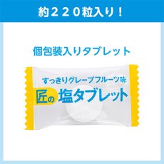 画像2: サラヤ 匠の塩タブレット グレープフルーツ味 [500g ×10] - 人工甘味料不使用の塩タブレット【代引不可・個人宅配送不可】 (2)