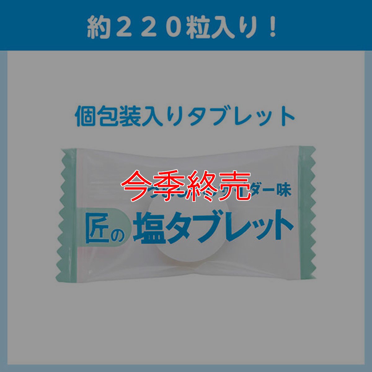 画像2: サラヤ 匠の塩タブレット うましゅわサイダー味 [500g ×10] - 人工甘味料不使用の塩タブレット【代引不可・個人宅配送不可】 (2)