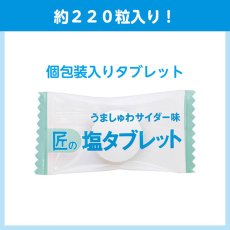 画像2: サラヤ 匠の塩タブレット うましゅわサイダー味 [500g ×10] - 人工甘味料不使用の塩タブレット【代引不可・個人宅配送不可】 (2)