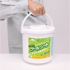 画像4: サラヤ クールリフレ やさしいクールシート 70枚 - お子様やご高齢の方にも使える、肌にやさしいクールシート【代引不可・個人宅配送不可・直送1000円】 (4)