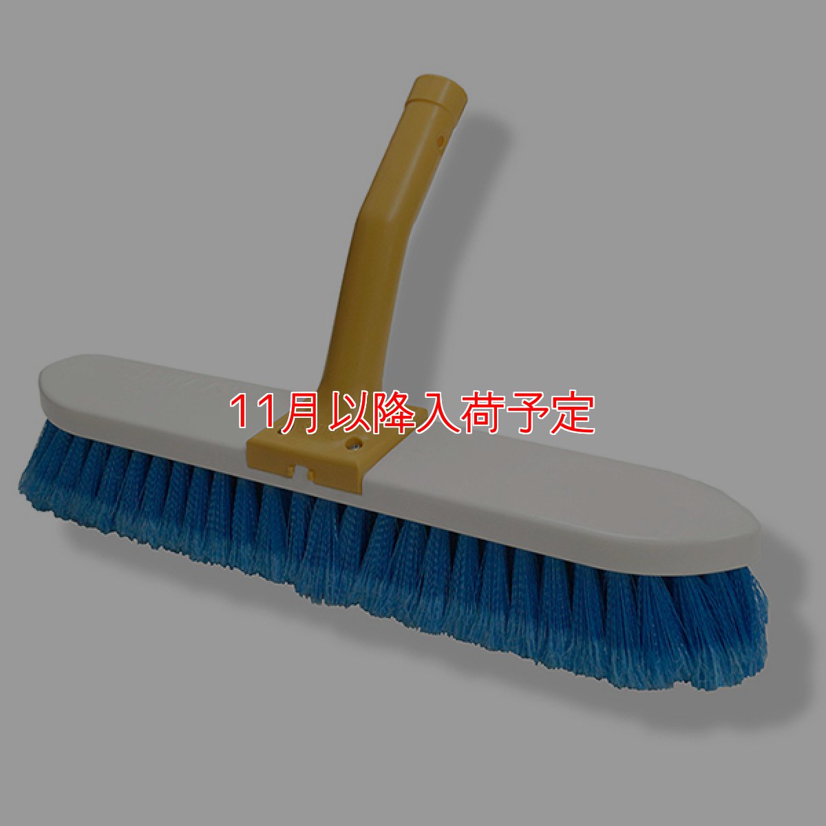画像1: 【11月以降入荷予定】セイワ 押して掃けるブラシホーキ - 土やホコリをゴッソリ掃ける押し出しホーキ (1)