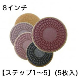 S.M.S.Japan チーターパッド 5インチ【ステップ1から5】(5枚入