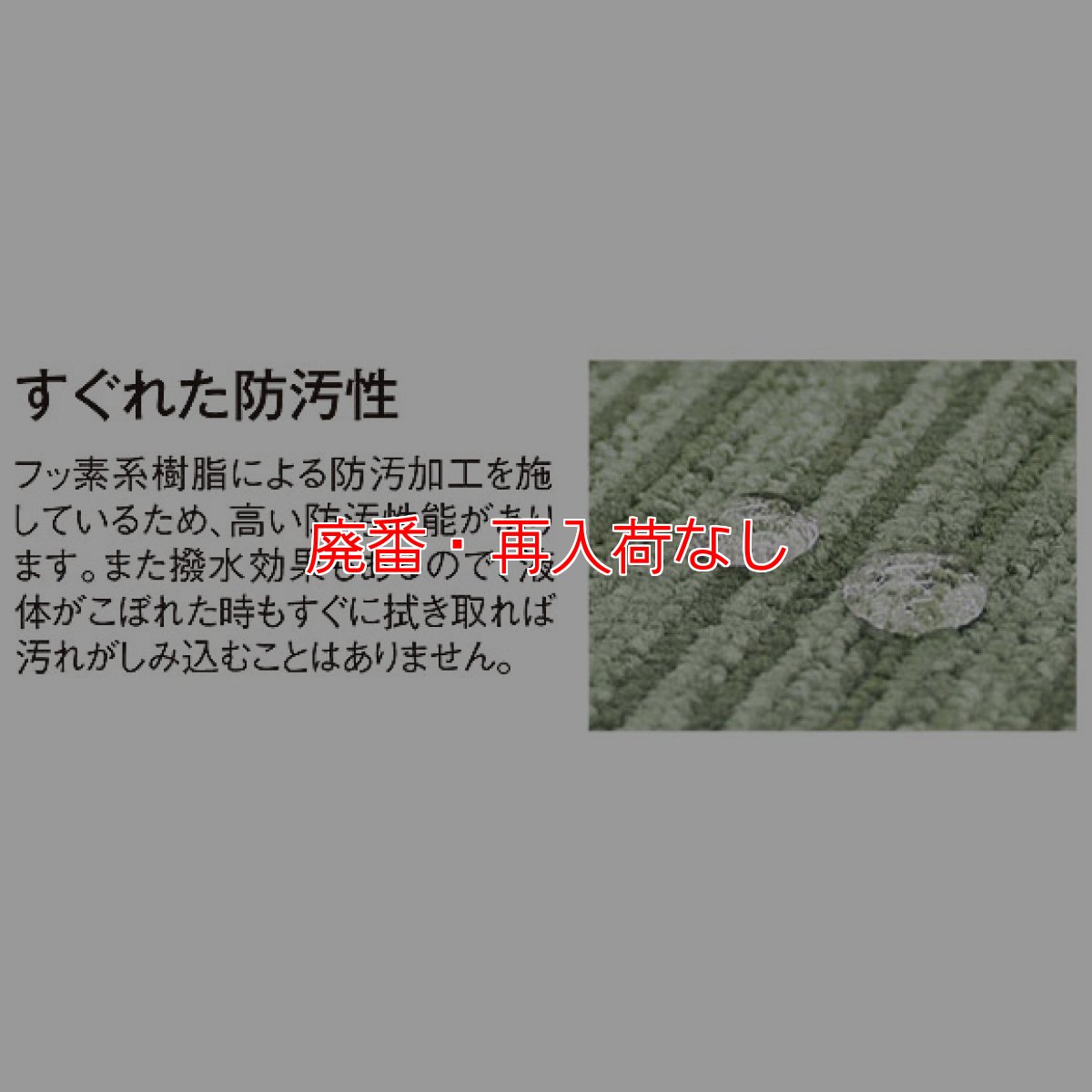 画像2: 【廃番・再入荷なし】■別注サイズ・キャンセル不可■テラモト 制菌マットII (2)