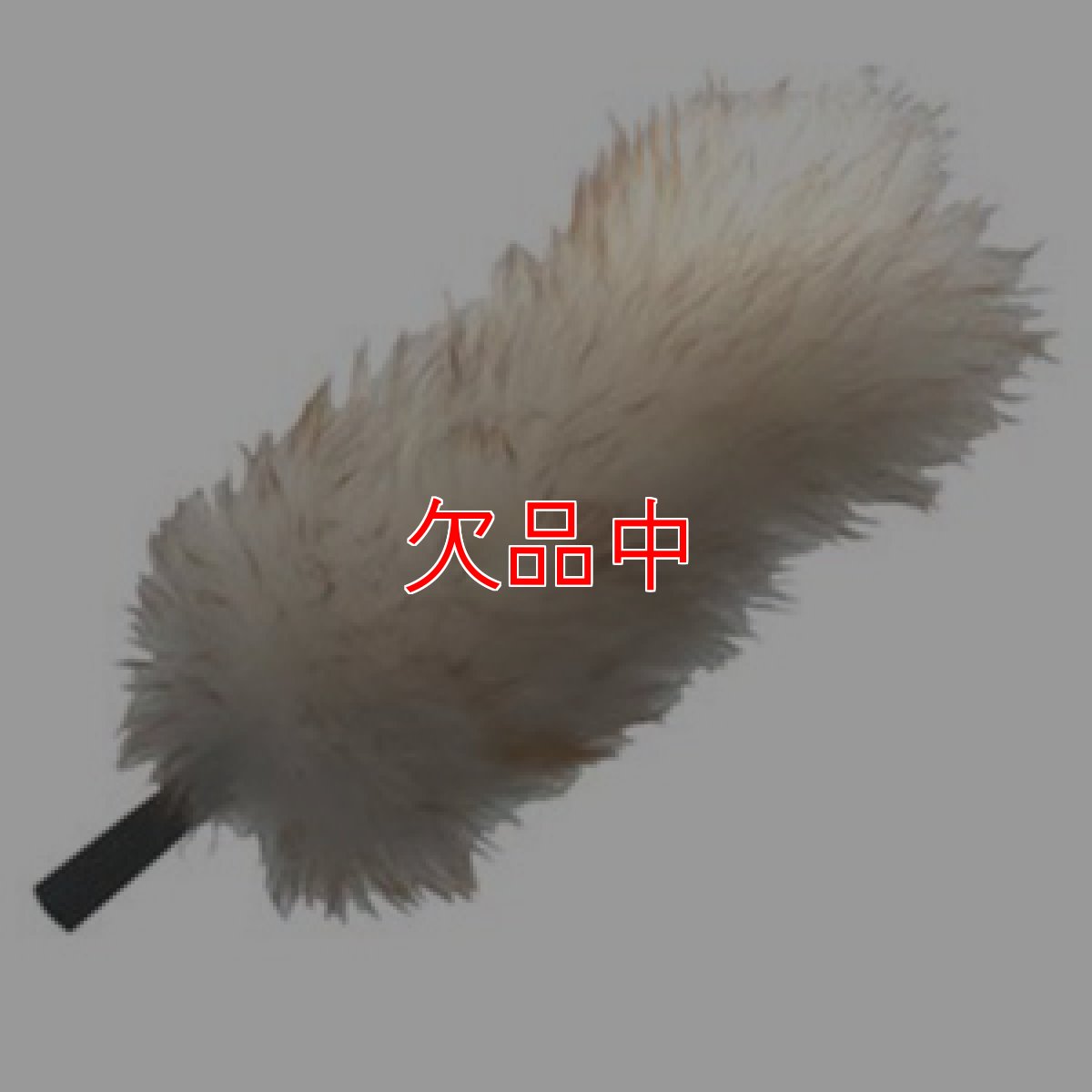 画像1: ウンガーUNGER ラムウールダスター (1)