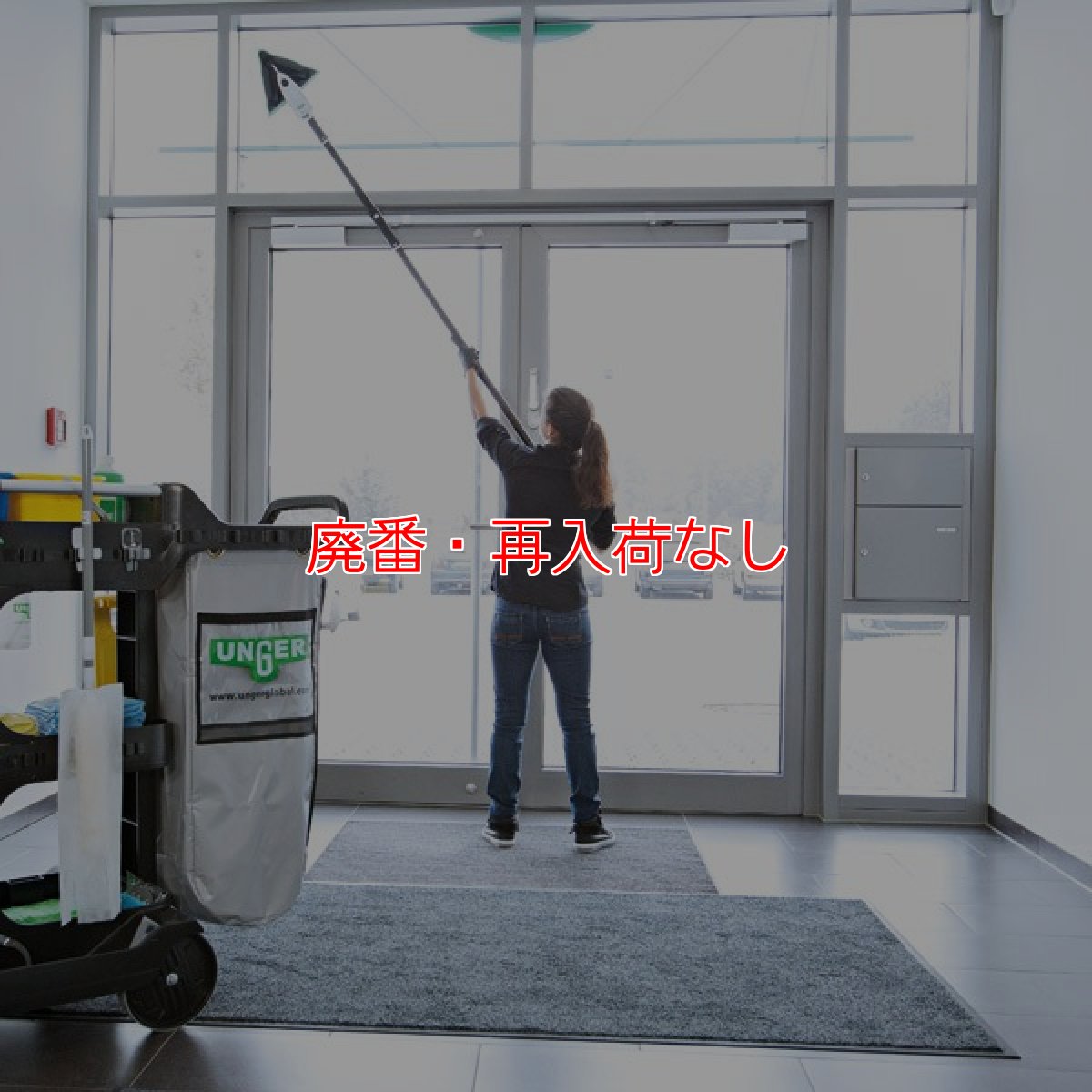 画像11: 【廃番・再入荷なし】ウンガーUNGER スティングレイ インドアクリーニングキット 330プラス (11)