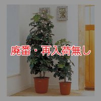 【廃番・再入荷無し】山崎産業 ピュアメイト カポック - お部屋の空気を浄化する人工樹木