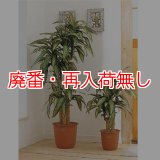 【廃番・再入荷無し】山崎産業 ピュアメイト 幸福の木 - お部屋の空気を浄化する人工樹木
