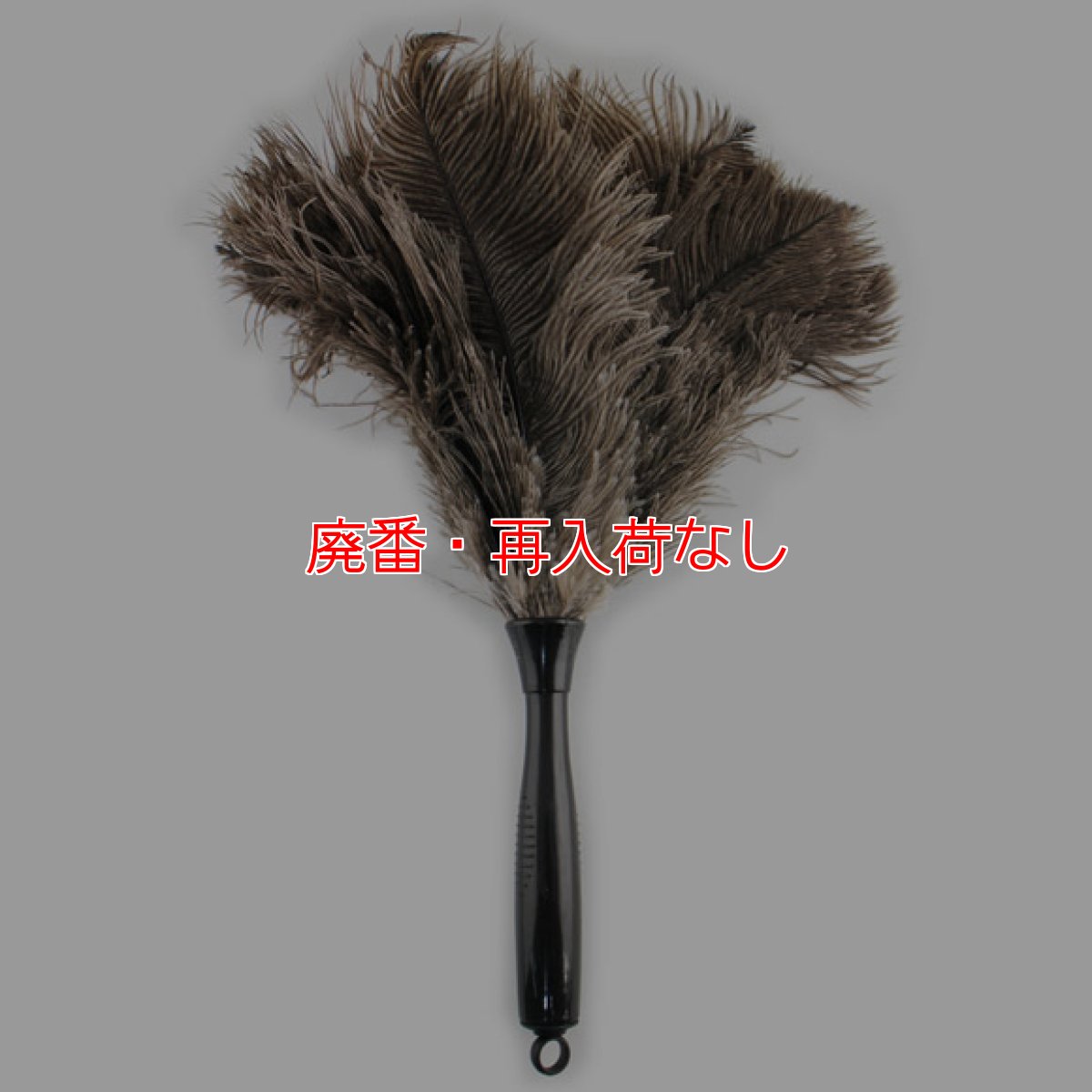 画像1: 【廃番・再入荷なし】エトレ フェザーダスター (1)