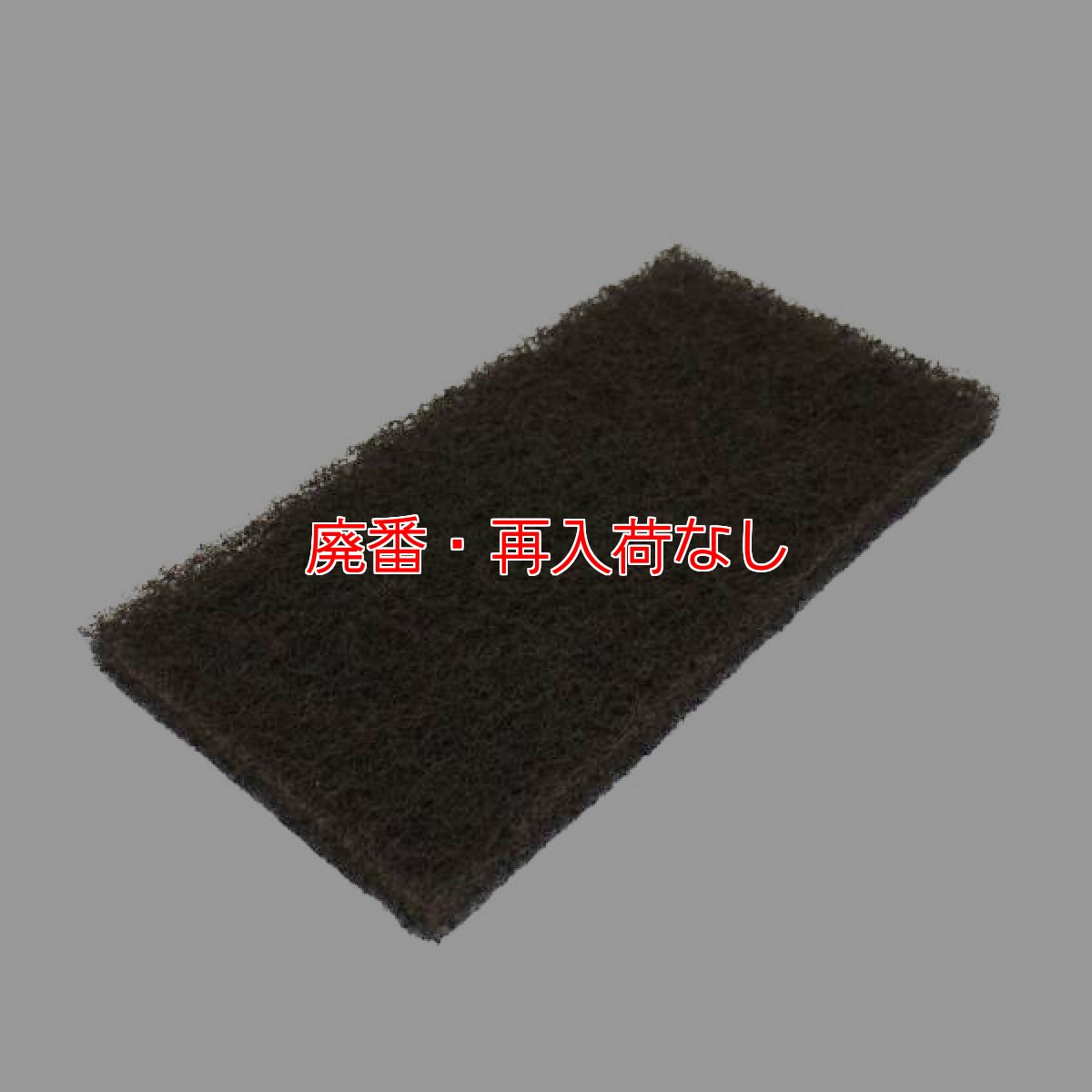 画像1: 【廃番・再入荷なし】蔵王産業 ナノエッジ用 SPPパッド 【代引不可・個人宅配送不可・#直送1500円】 (1)