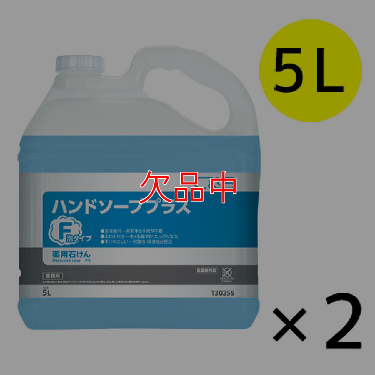 画像1: シーバイエス ハンドソーププラスF [5Lx2] - 業務用殺菌・消毒手洗い石けん (1)