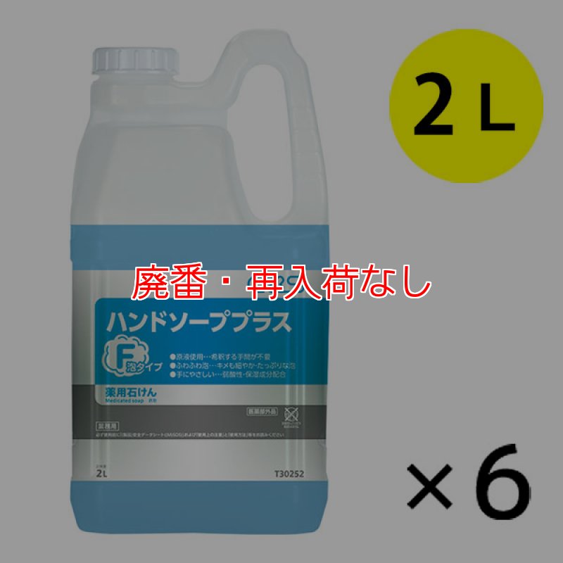 廃番・再入荷なし】シーバイエス ハンドソーププラスF [2Lx6] - 業務用