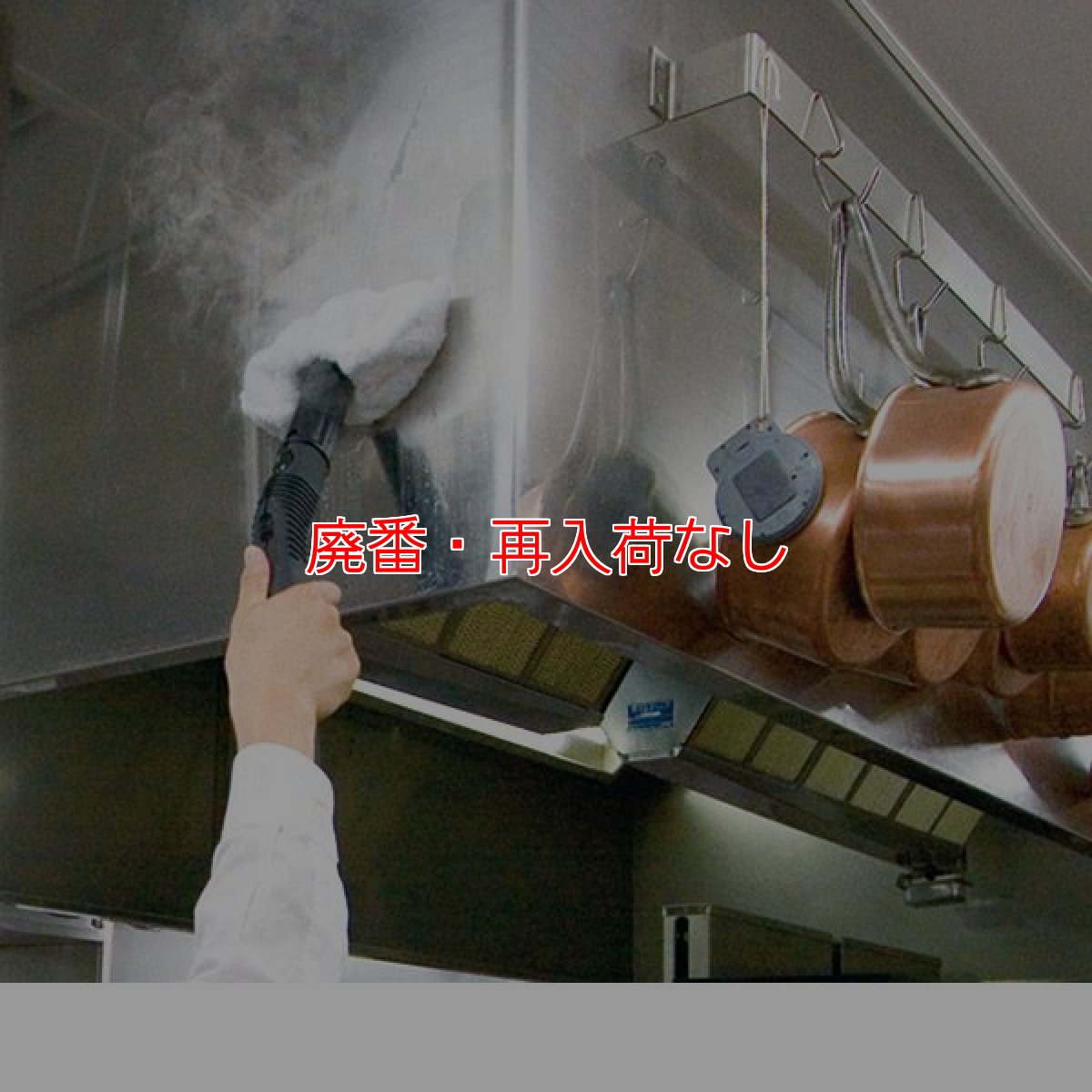 画像4: 【廃番・再入荷なし】ケルヒャー DE 4002 プラス - 業務用スチームクリーナー【代引不可・個人宅配送不可】 (4)