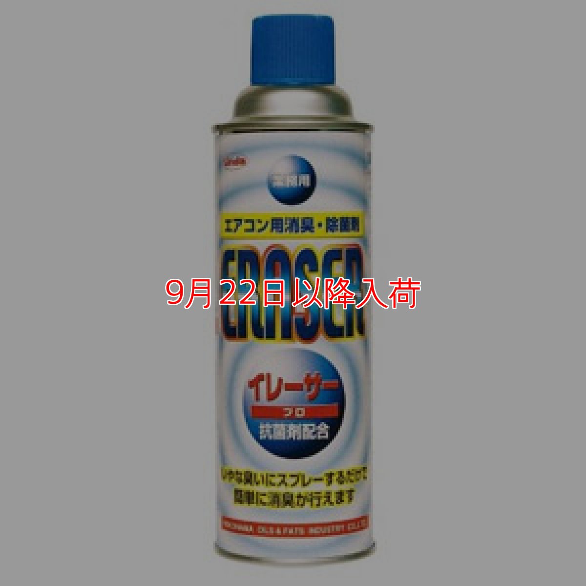 画像1: 横浜油脂工業(リンダ) イレーサー・プロ [480mL] - エアコン用消臭・除菌剤 (1)