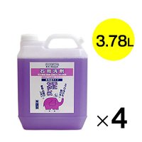 オーブ・テック スペースショット 石用洗剤 [3.78L×4] - 強酸性【代引不可】