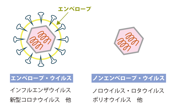 エンベロープ コロナ 新型コロナウイルス肺炎の重症化を防ぐ海藻類のフコイダン、紅藻エキスはエボラ、HIV、SARS、C型肝炎などの抗ウイルス効果がある｜坂崎文明｜note