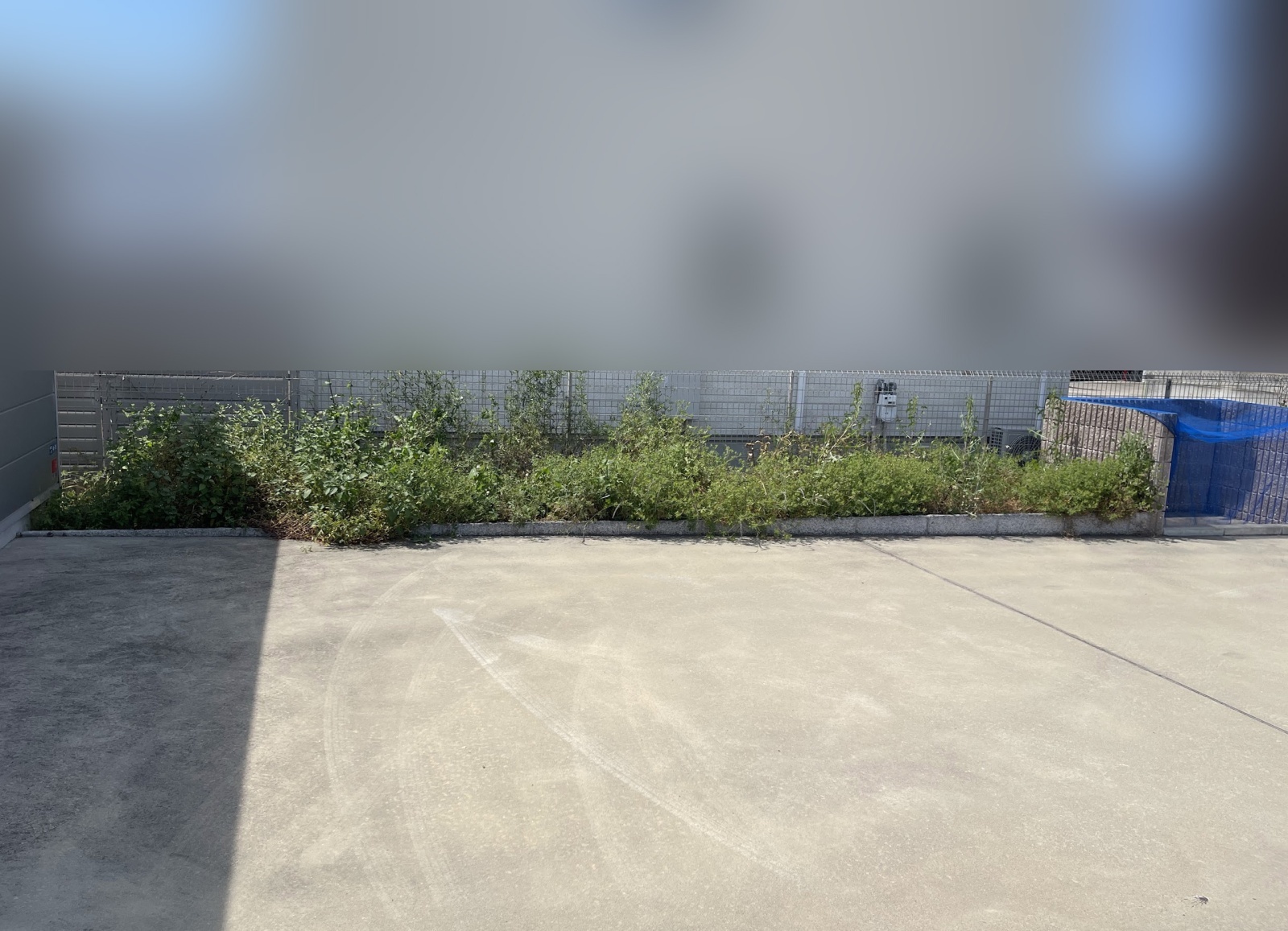 作業前の様子 全景