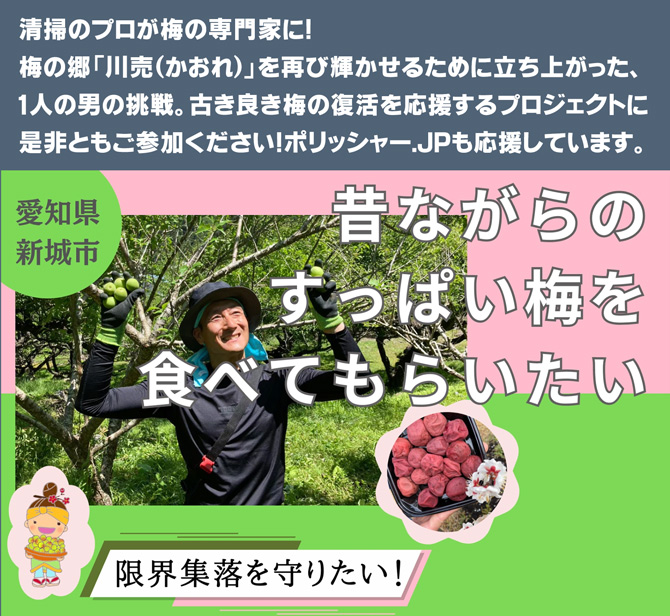 昔ながらの梅干しの販売を再開したい！梅の郷、新城市海老「川売」を元気にしたい！！