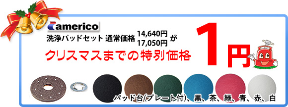 americo洗浄パッドセットがクリスマスまでの特別価格１円