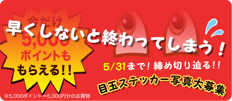 超太っ腹企画！５０００ポイントがもらえるキャンペーンの詳細はこちら