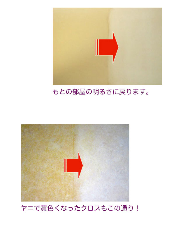 コスケム インドアアマドーレ[3.78L] - 室内壁面汚れ除去用洗剤 04