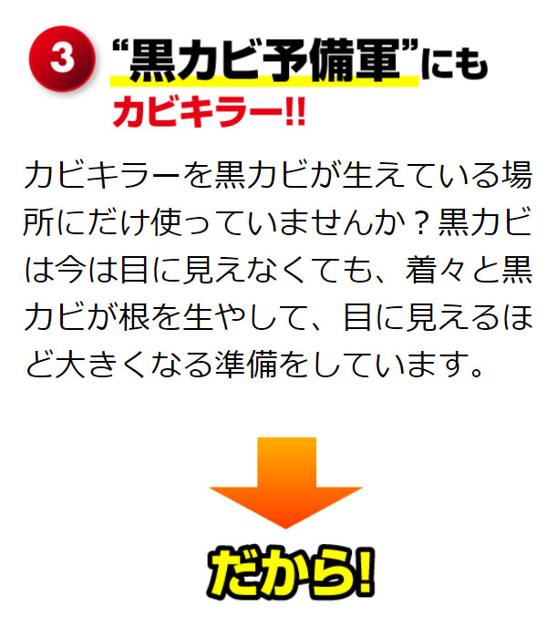 SCジョンソン カビキラー電動スプレー　商品詳細