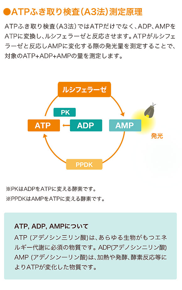 キッコーマンバイオケミファ ルミテスター Smart(スマート) - ATP+ADP+AMPふき取り検査(A3法)【代引不可】 商品詳細04