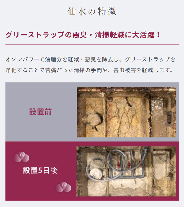 【リース契約可能】オーニット グリーストラップ浄化用高濃度オゾン除菌脱臭機 仙水 (AS-2000SS) - 強力なオゾンパワーでグリーストラップの悪臭や油脂分を軽減【代引不可】02