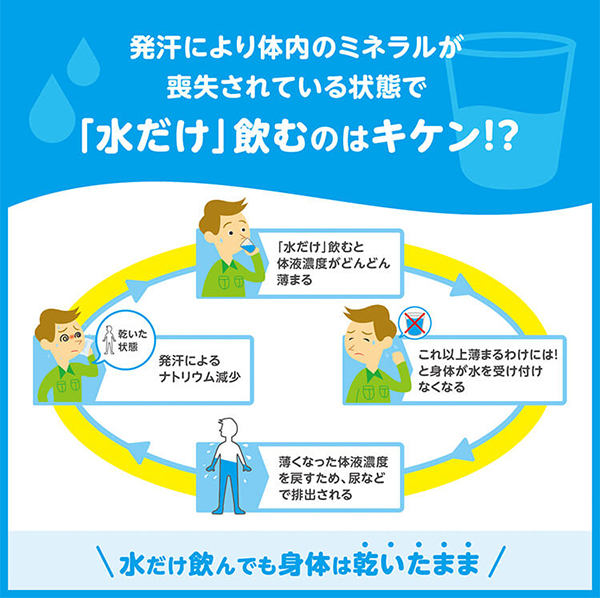サラヤ 匠のオアシスエイドサポリテ ピーチ風味[500mL×24] - ミネラルと水分を急速補給！！01
