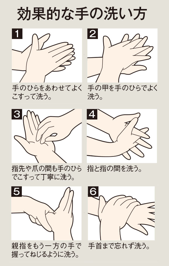 テラモト 薬用ハンドソープ[5L] 09