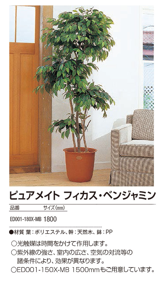 山崎産業 ピュアメイト フィカス・ベンジャミン - お部屋の空気を浄化する人工樹木 04