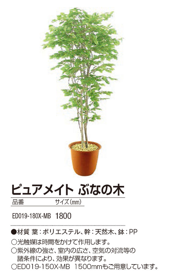 山崎産業 ピュアメイト ぶなの木 - お部屋の空気を浄化する人工樹木 04