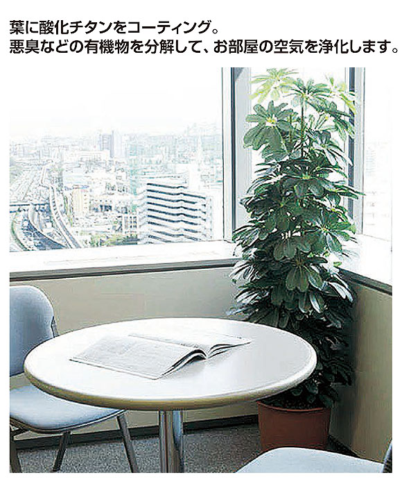 山崎産業 ピュアメイト フィカス・ベンジャミン - お部屋の空気を浄化する人工樹木 01