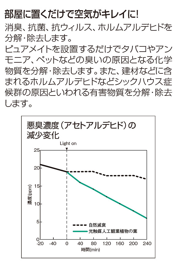 山崎産業 ピュアメイト ぶなの木 - お部屋の空気を浄化する人工樹木 02