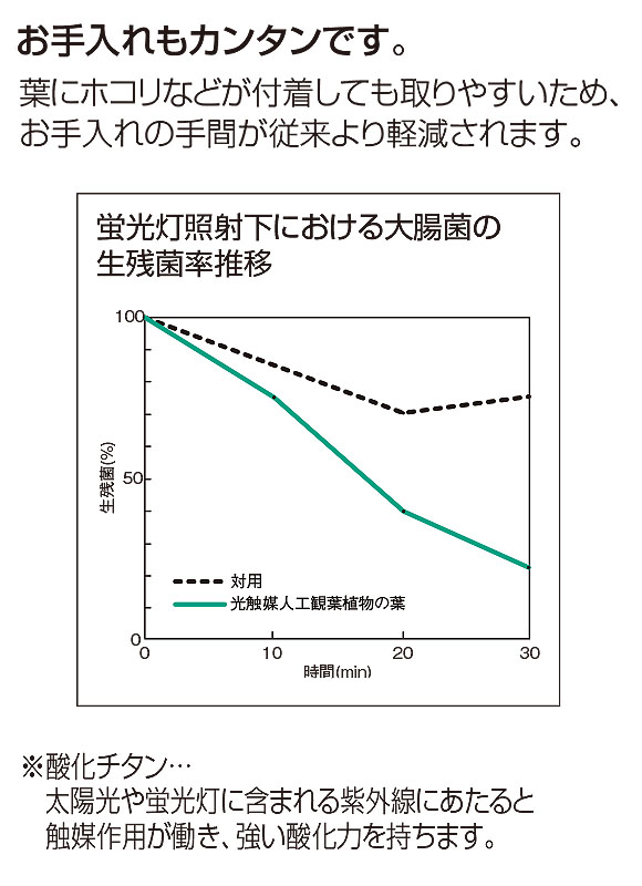 山崎産業 ピュアメイト ぶなの木 - お部屋の空気を浄化する人工樹木 03