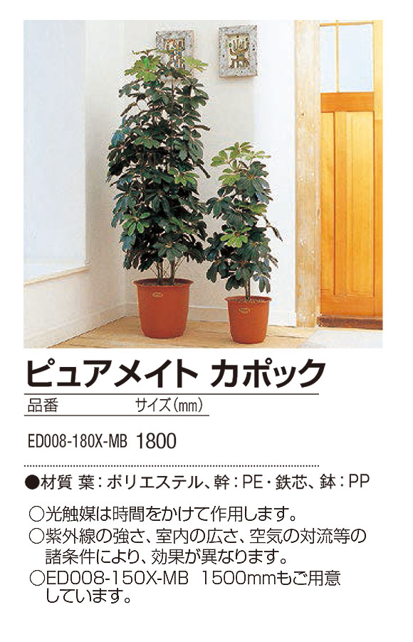 山崎産業 ピュアメイト カポック - お部屋の空気を浄化する人工樹木 04