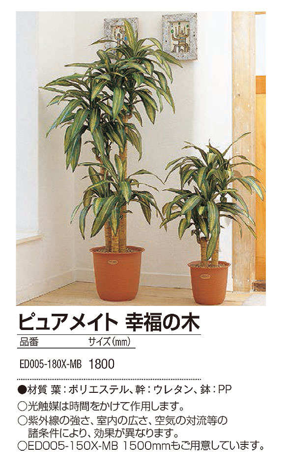 山崎産業 ピュアメイト 幸福の木 - お部屋の空気を浄化する人工樹木 04