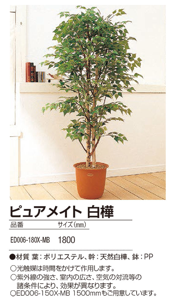 山崎産業 ピュアメイト 白樺 - お部屋の空気を浄化する人工樹木 04