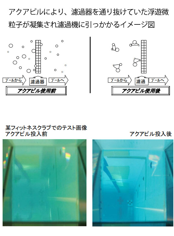 蔵王産業 アクアピル２レギュラー [136mL×14個]- 有機系プール用凝集剤【代引不可・個人宅配送不可】04