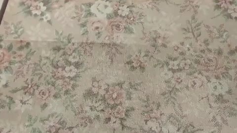 毛足の長いカットパイルカーペットの洗浄跡