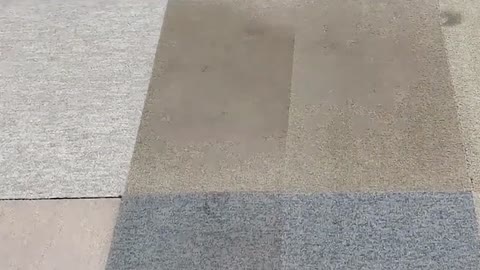 タイルカーペットの洗浄跡