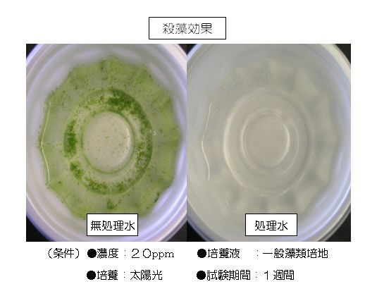 クリアライト工業 アクアクリン[10kg] - お湯の透明度を向上し藻を抑制する浴場水除菌剤 02